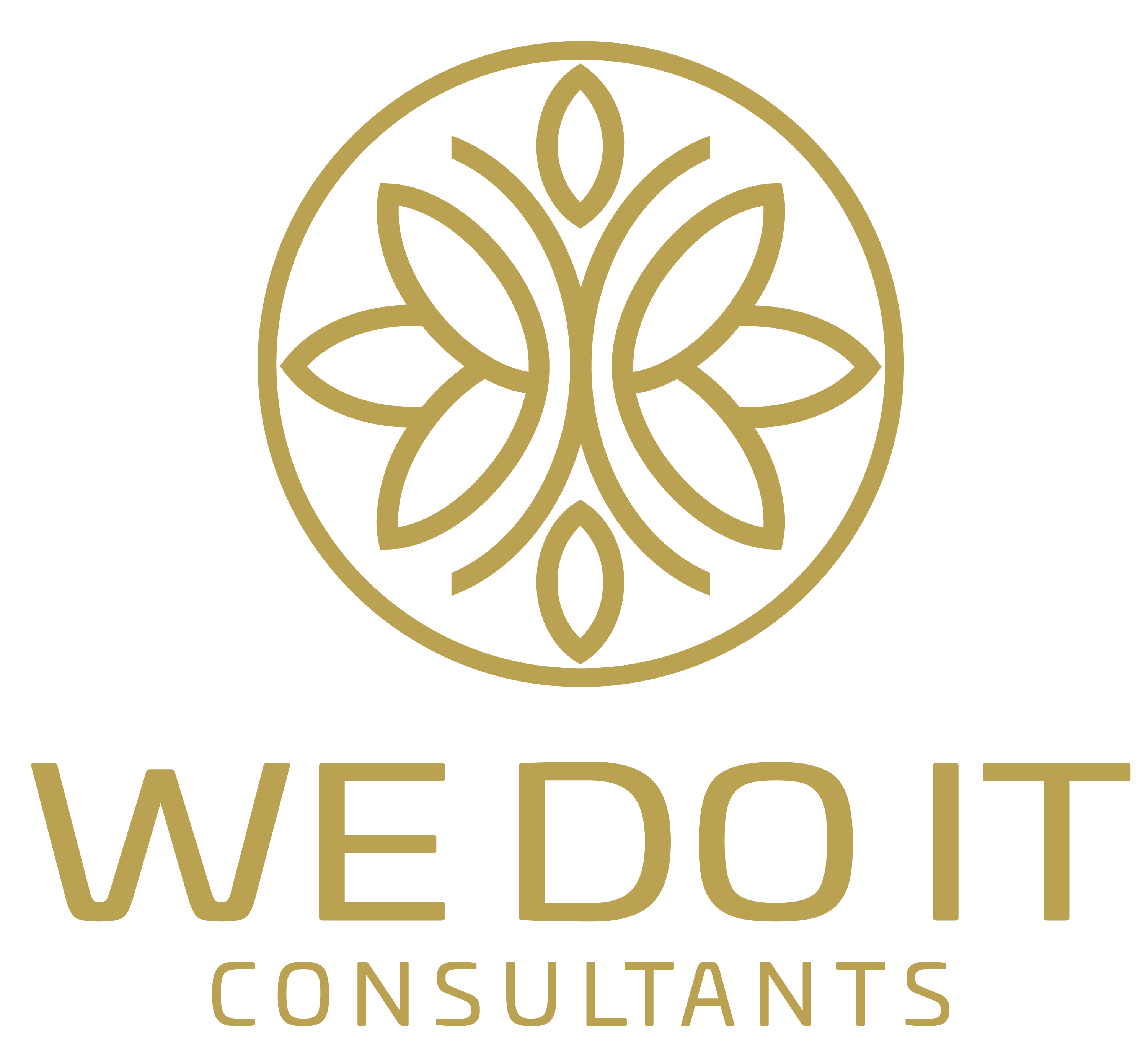 We Do IT Consultants